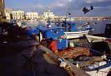 12-Gallipoli,23 agosto 1988